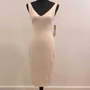 Rachel Rachel Roy blush pink dress Sleeveless Tailored sheath Lined Gold zipper